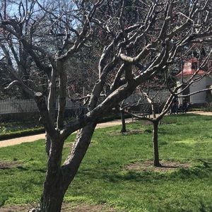 Meet your Posher, Abbey